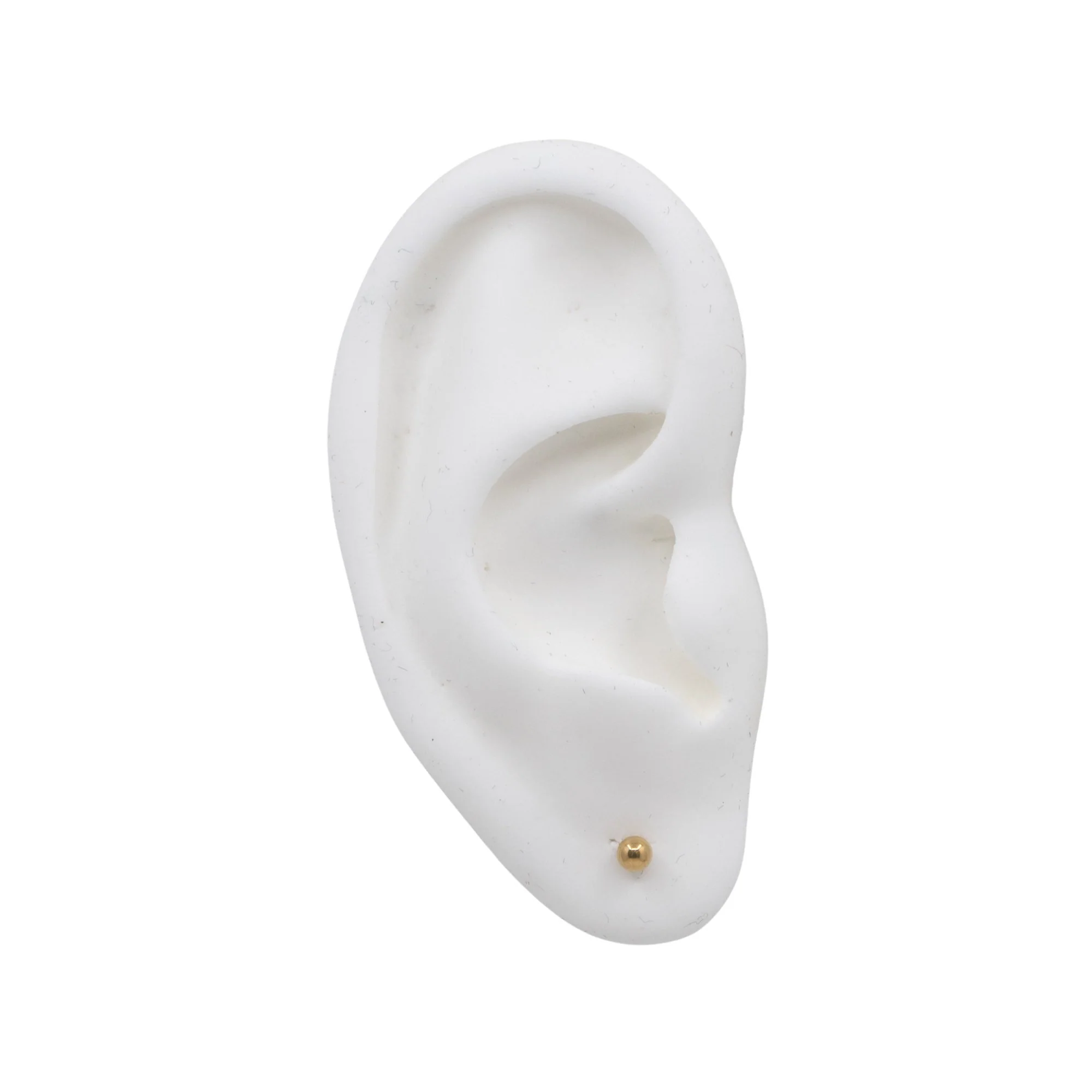 Internally Threaded Barbell - Image 4
